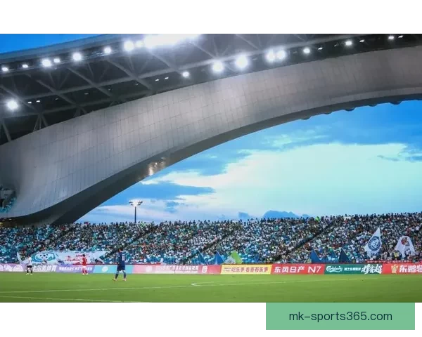 聚焦2026世界杯球场城市群的赛事文化与体验全景解析深度观